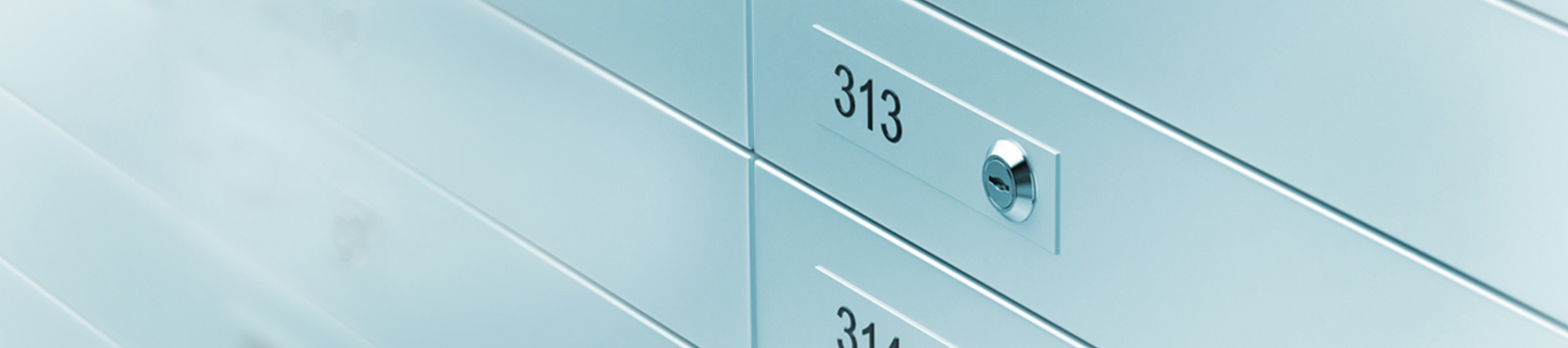 Safe Deposit Locker